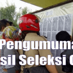 Hasil Verifikasi/Seleksi Administrasi CPNS Daerah Pemkab Blora – JATENG